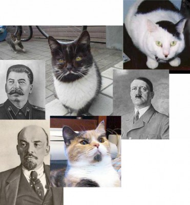 Cats who look like Hitler, Lenin, Stalin