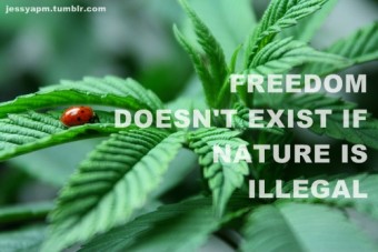 freedom doesn't exists as long as nature is illegal