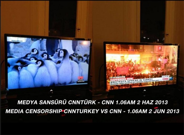 cnn-turkey-vs-international