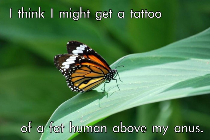 butterfly-tattoo-schmetterling of a fat human above my anus.