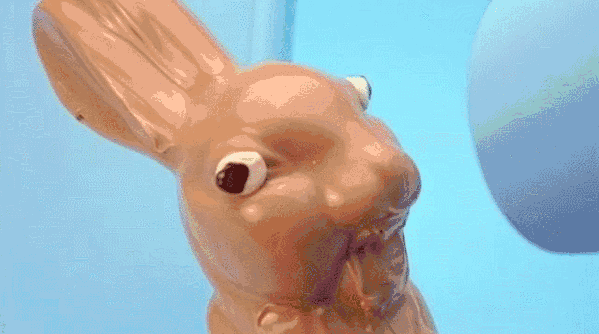 easter-bunny-geföhnt