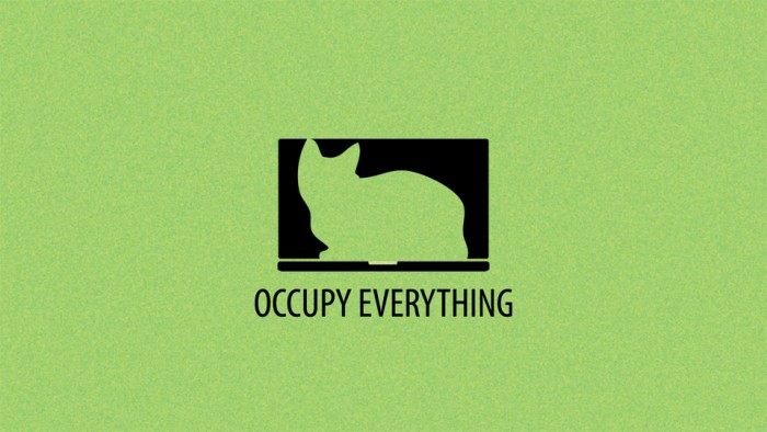 occupy-everything
