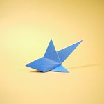 Origami Hai
