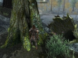 ScreenShot81