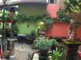 Spanischer Garten Pano