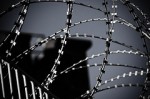 barbed-wire-CC-BY-NC-SA-sonypug