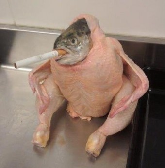 Chicken Fish Cigarette, Huhn Fisch Zigarette