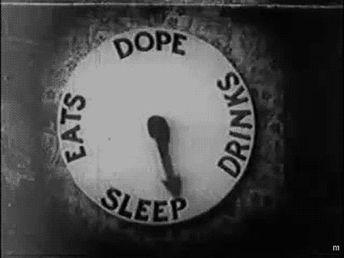 eat | dope | drinks | sleep