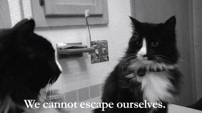 we-cannot-escape-ourselves