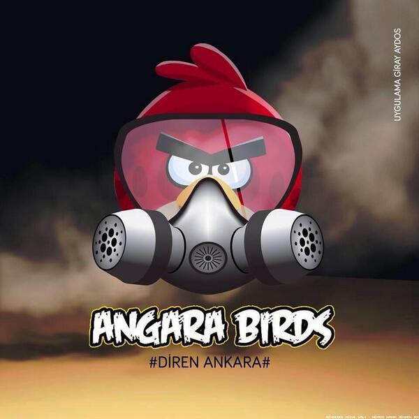 angara-birds_diren-ankara