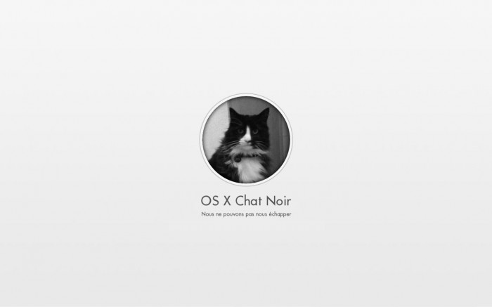 osx-chat-noir-1440