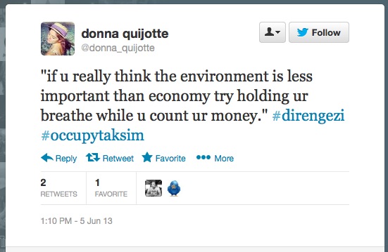 "if u really think the environment is less important than economy try holding ur breathe while u count ur money." #direngezi #occupytaksim