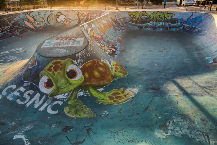 surfer-dude-meets-skater-dude finding nemo turtle graffiti skatepark