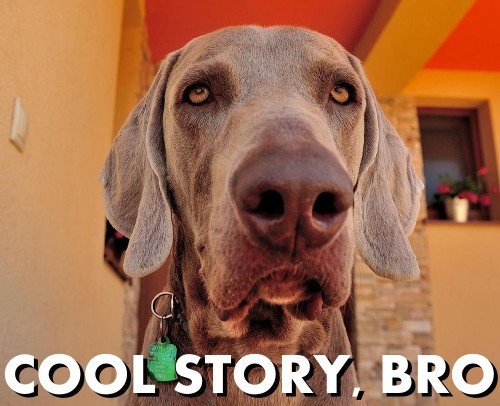 cool-story-bro
