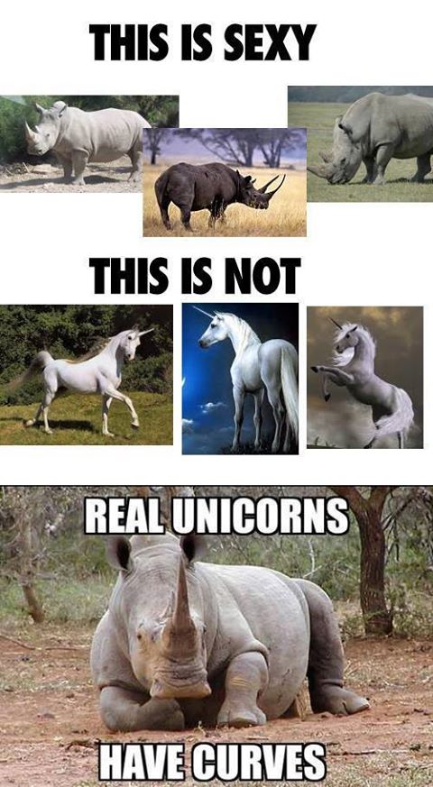 Real unicorns have curves | einhorn | nashorn