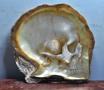 totenkopf totenköpfe skull skulls shell muschel