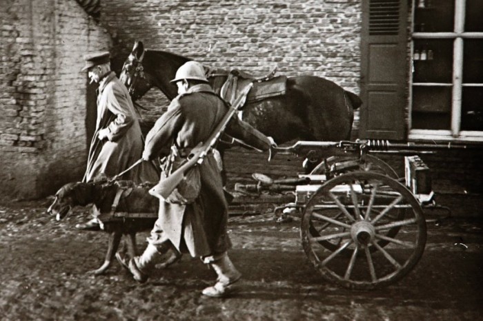 An undated archive picture shows a dog pulling a Belgian machine gun at an unknown location in northern France. A Viscount in the Armoured Cavalry Branch of the French Army left behind a collection of hundreds of glass plates taken during World War One (WWI) that have never before been published. The images, by an unknown photographer, show the daily life of soldiers in the trenches, destruction of towns and military leaders. The year 2014 marks the 100th anniversary of the start of WWI.   REUTERS/Collection Odette Carrez (FRANCE - Tags: CONFLICT ANNIVERSARY MILITARY TPX IMAGES OF THE DAY ANIMALS)  ATTENTION EDITORS: PICTURE 21 OF 31 FOR PACKAGE 'WW1 - UNSEEN IMAGES FROM THE FRONT' TO FIND ALL IMAGES SEARCH 'ODETTE CARREZ' - RTR3QBRX