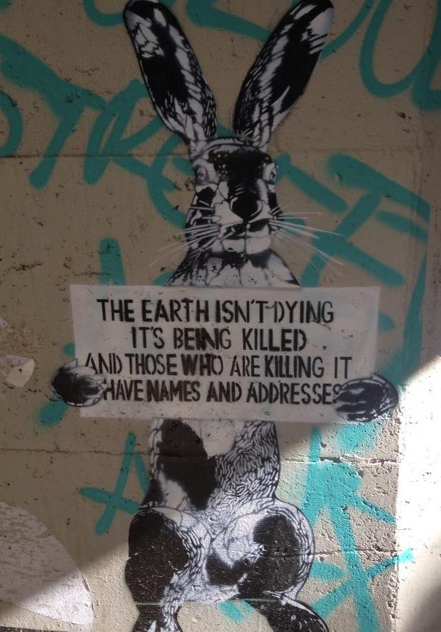 The earth isn't dying. It is being killed and those whoe are killing it have names and addresses
