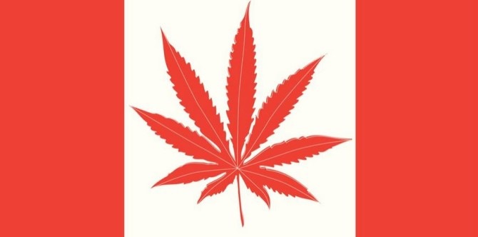 kanada-670x332 marihuana grass