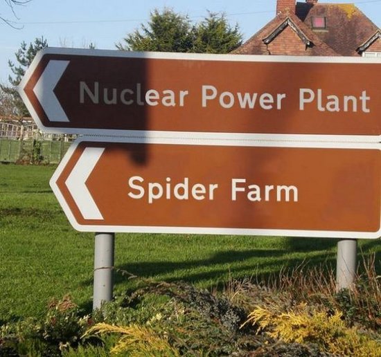 nuclear-powerplant_spider-farm what could possibly go wrong