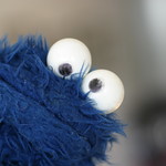 Cookie Monster | Krümelmonster